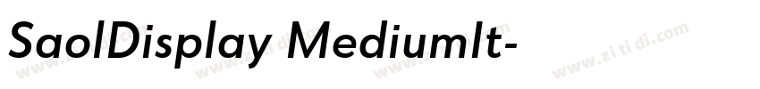 SaolDisplay MediumIt字体转换